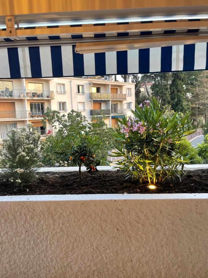 Le Cezanne Au Centre De Cassis Διαμέρισμα Εξωτερικό φωτογραφία
